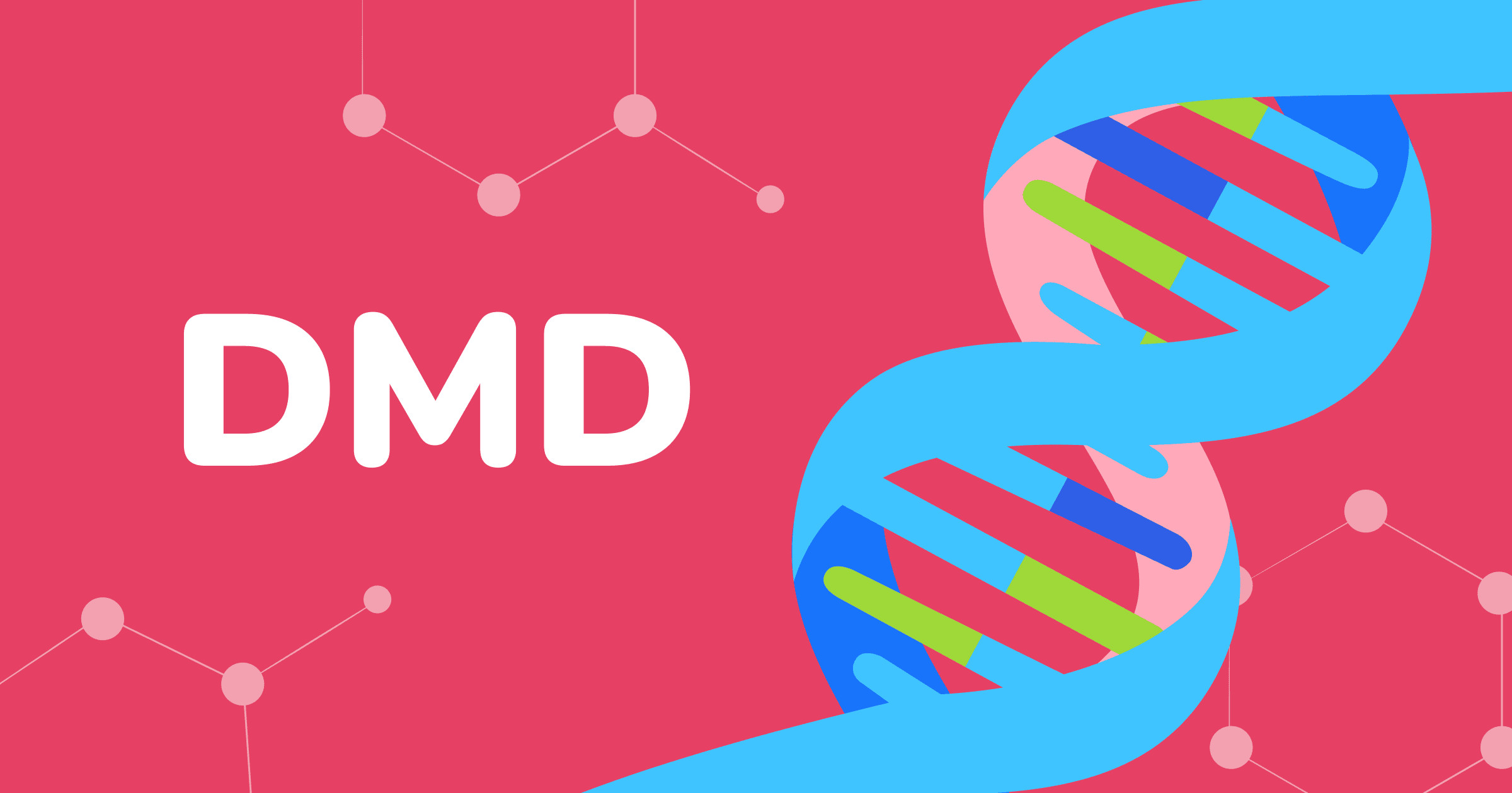 Com recaptar diners per al tractament de la DMD