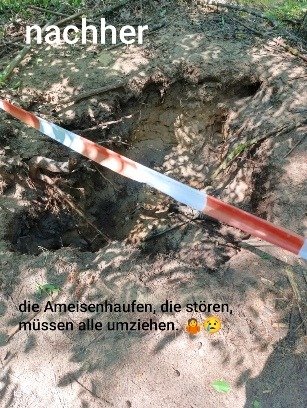 ng2lmJDtEuLS6kFH.jpg