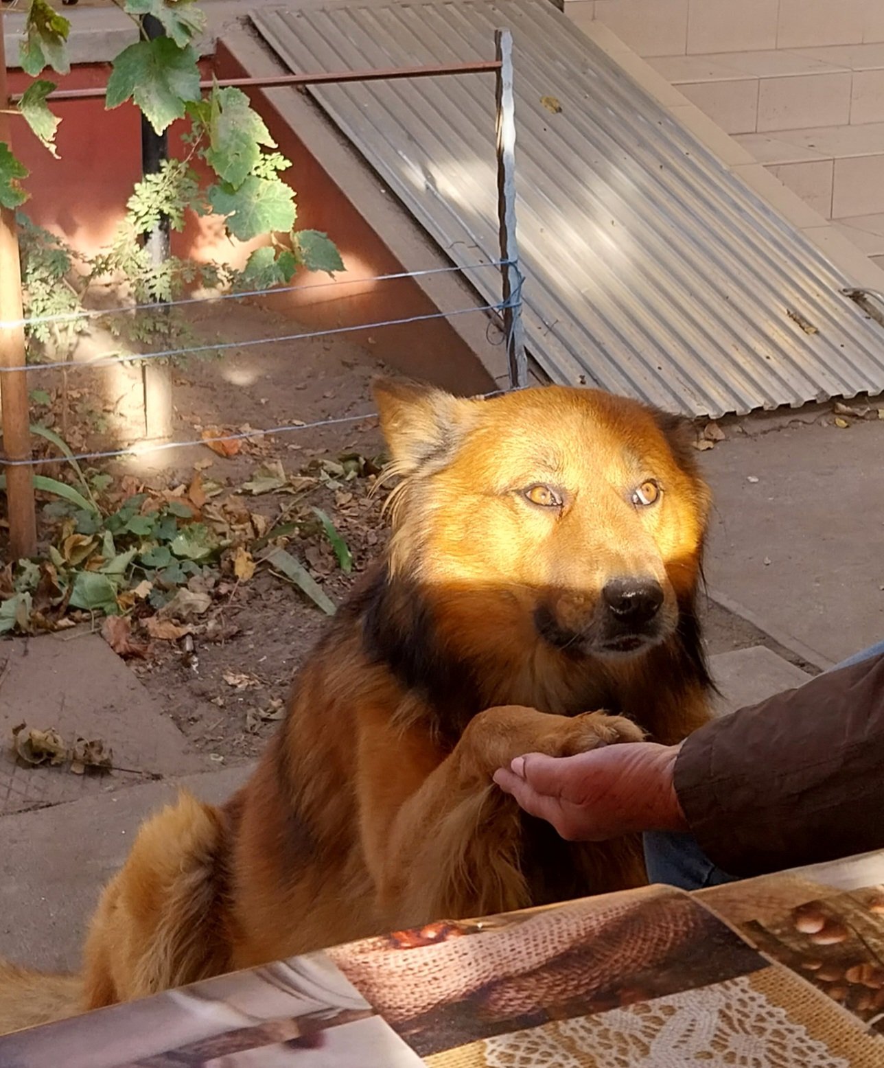 2fkXmAJ2IqXPvj0i.jpg
