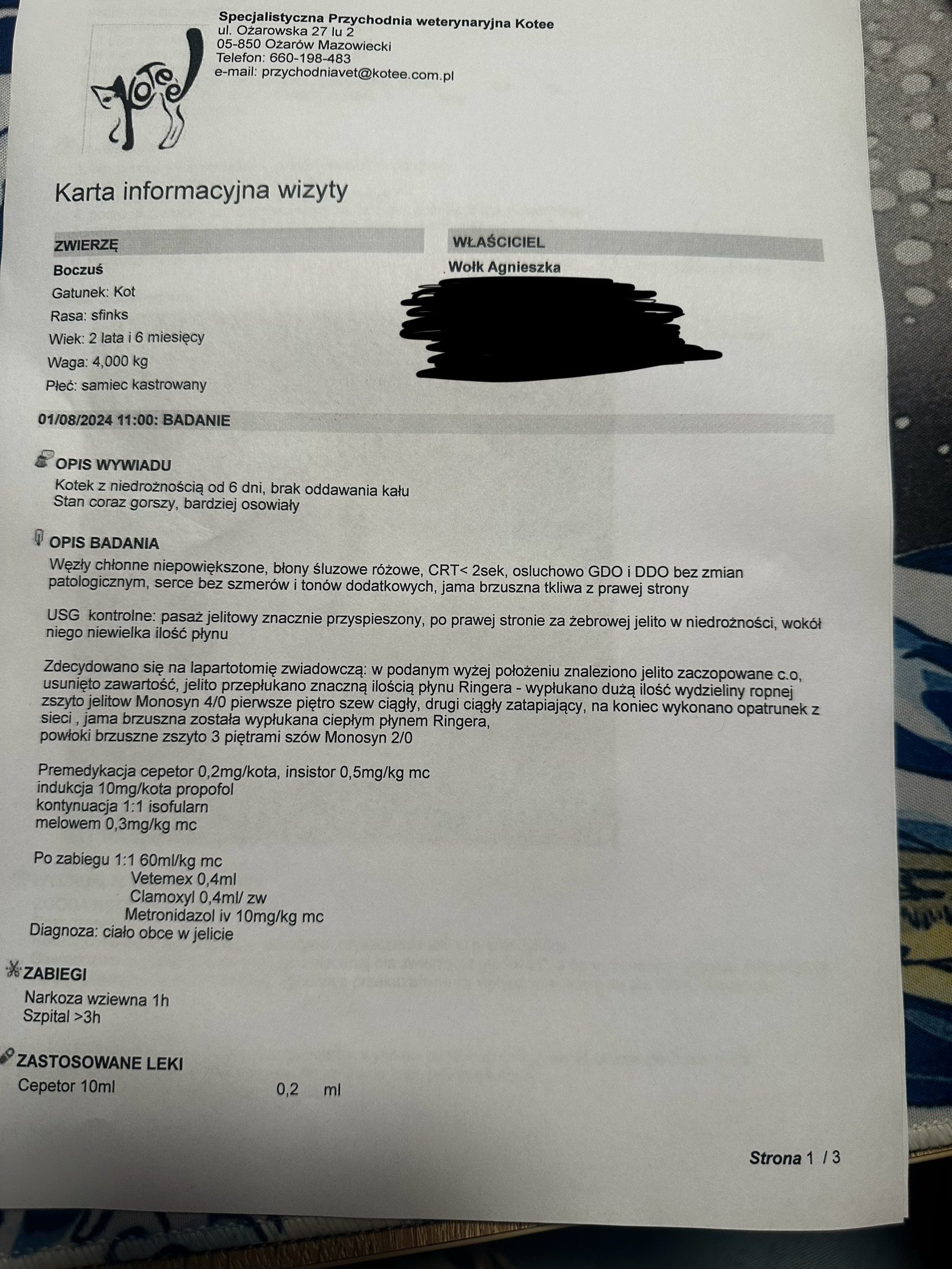 KDfJzVvuOCeLKcna.jpg