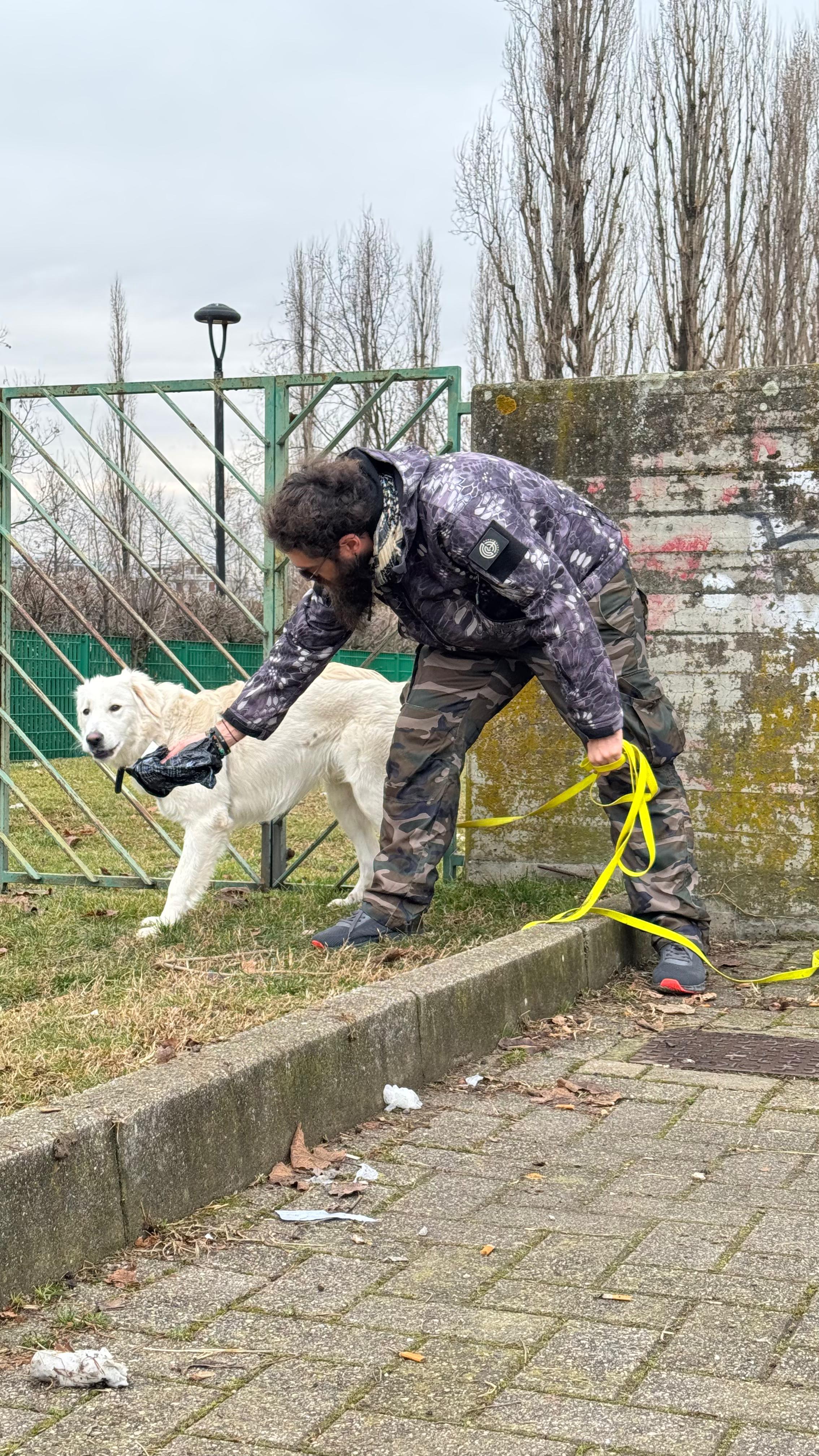 ltXWKUUkD9xs1Cau.jpg