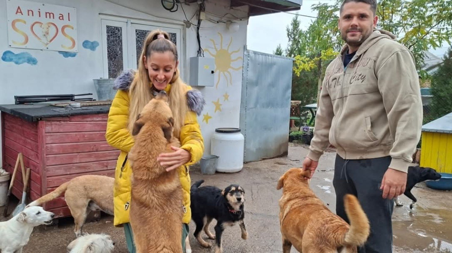 Recaudación de fondos: ¡Únete a Canela y Willow para ayudar a los ...