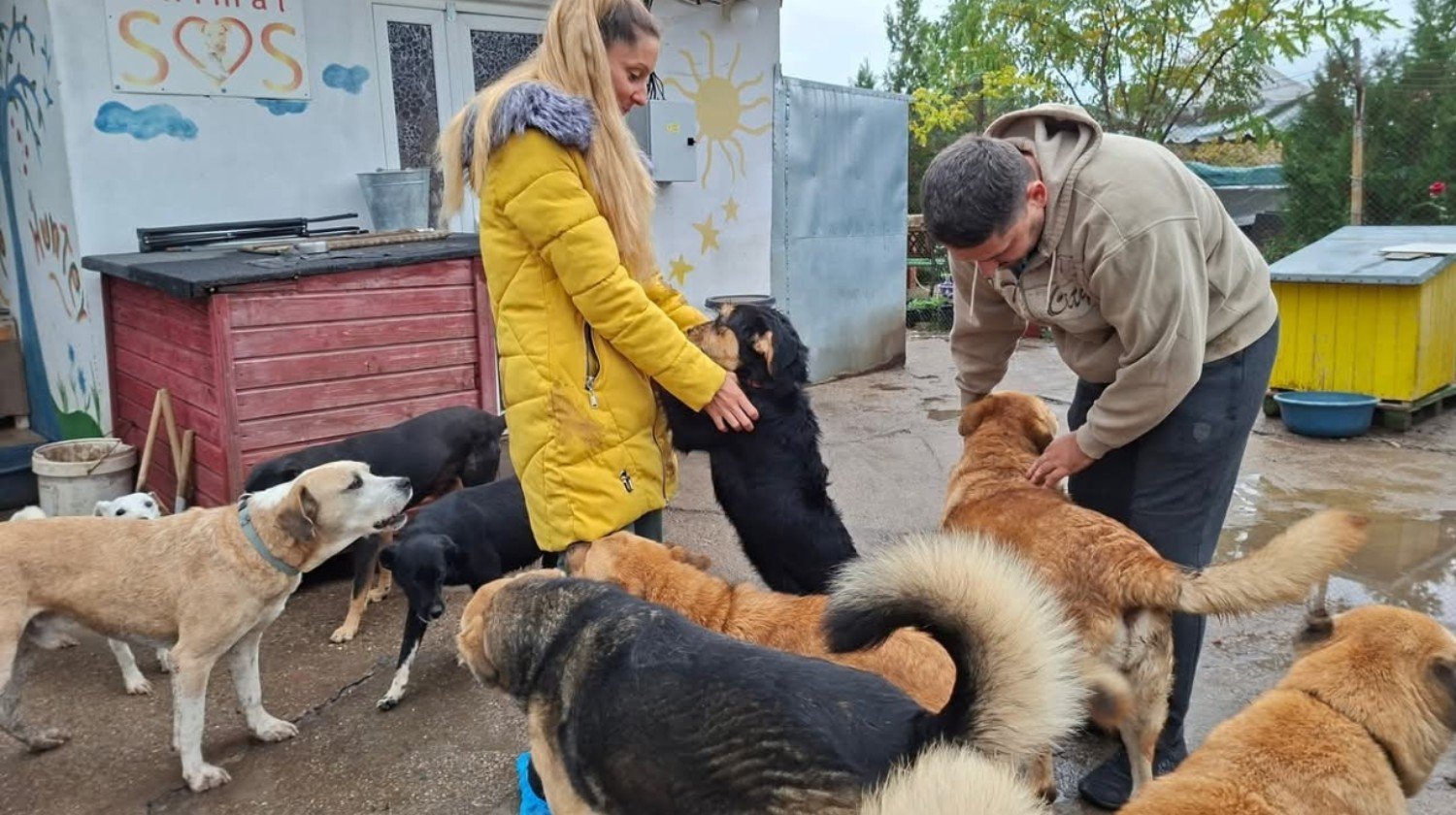 Recaudación de fondos: ¡Únete a Canela y Willow para ayudar a los ...