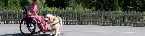 TRX02KDY8dT3W06v.png