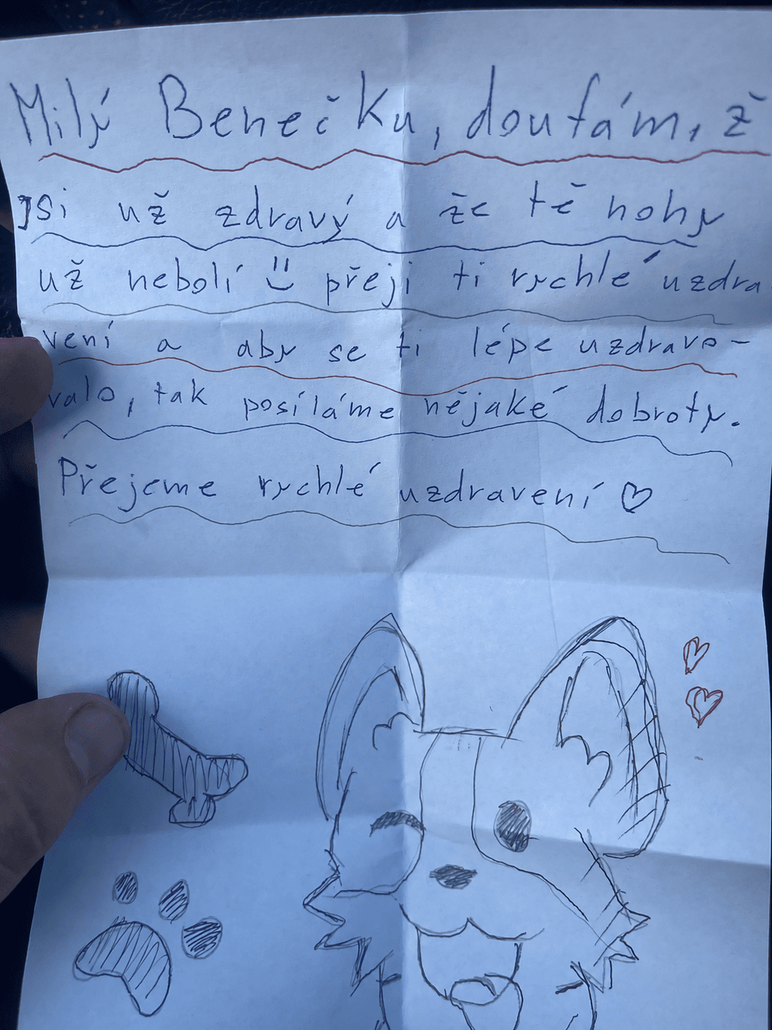 6otTUT1l5OuwxcpB.png