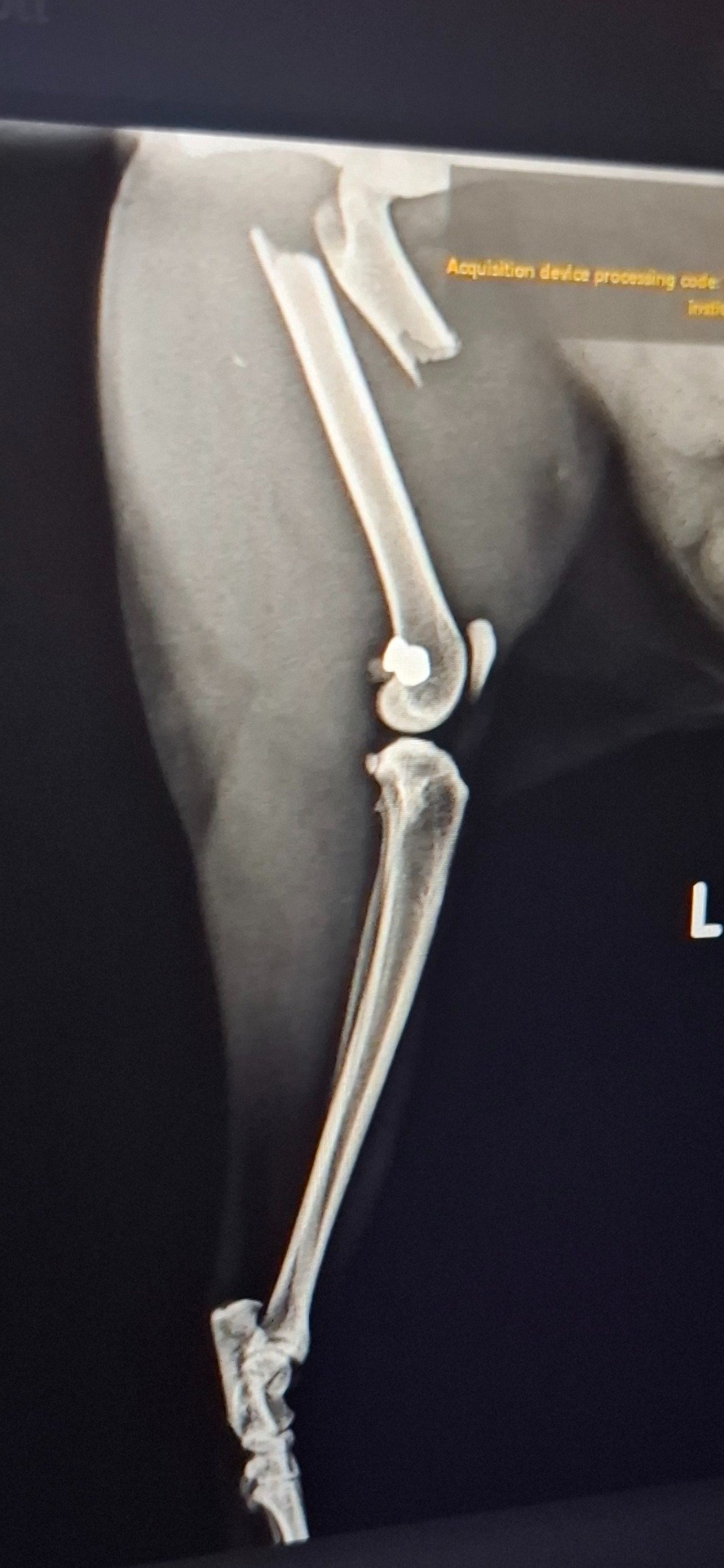 cFKfdDF1aAHb0OFS.jpg