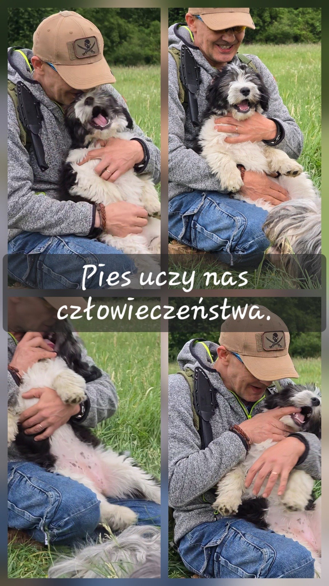 r5tfOkTy17DWVFoJ.jpg